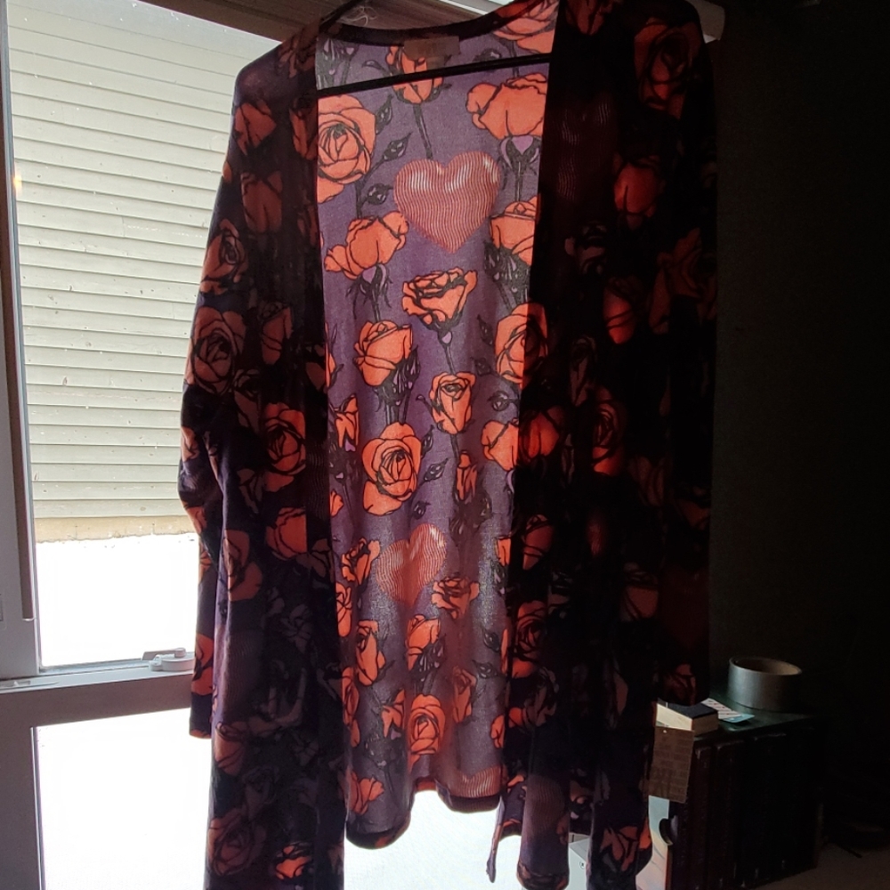 NWT Lularoe Caroline 2x